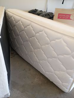 FREE. Single bed, spring and frame.