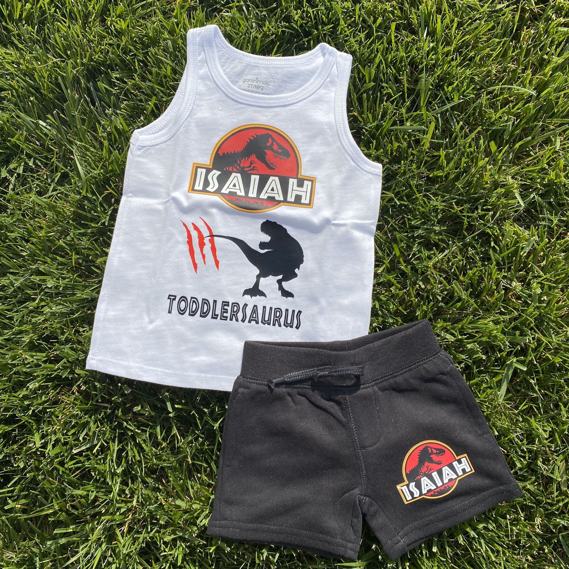 Custom Jurassic Set