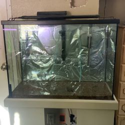 40 Gallon Aquarium With Stand Fish Tank