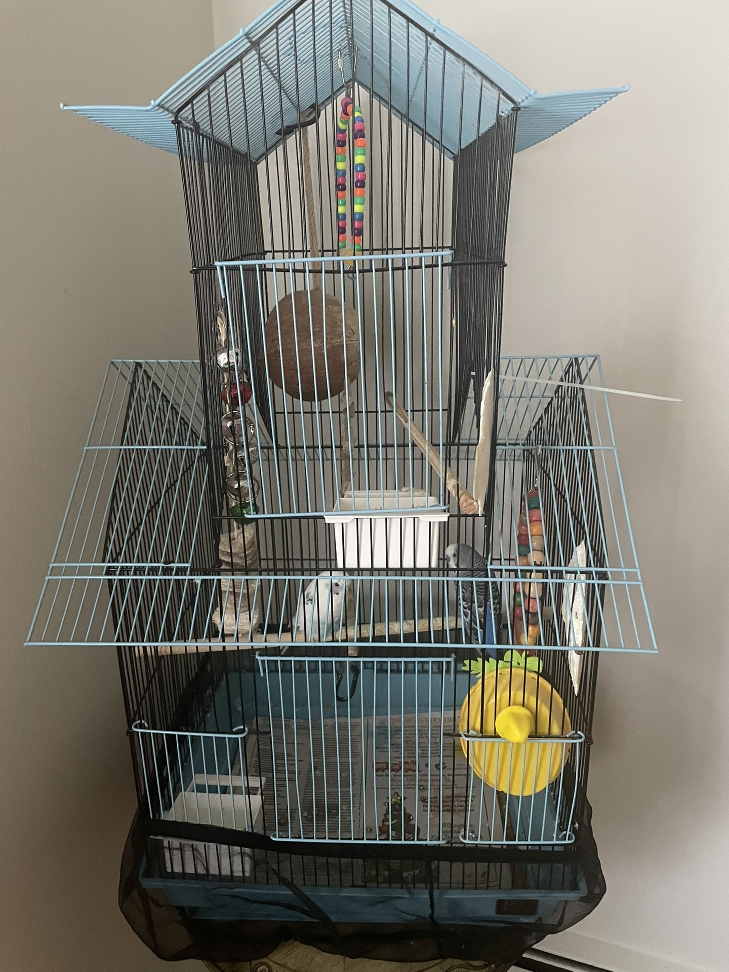 Cage Birds
