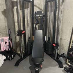 Inspire Functional Trainer