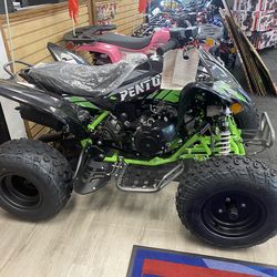 Apollo Pentora 200CC EFI-Disk Brake