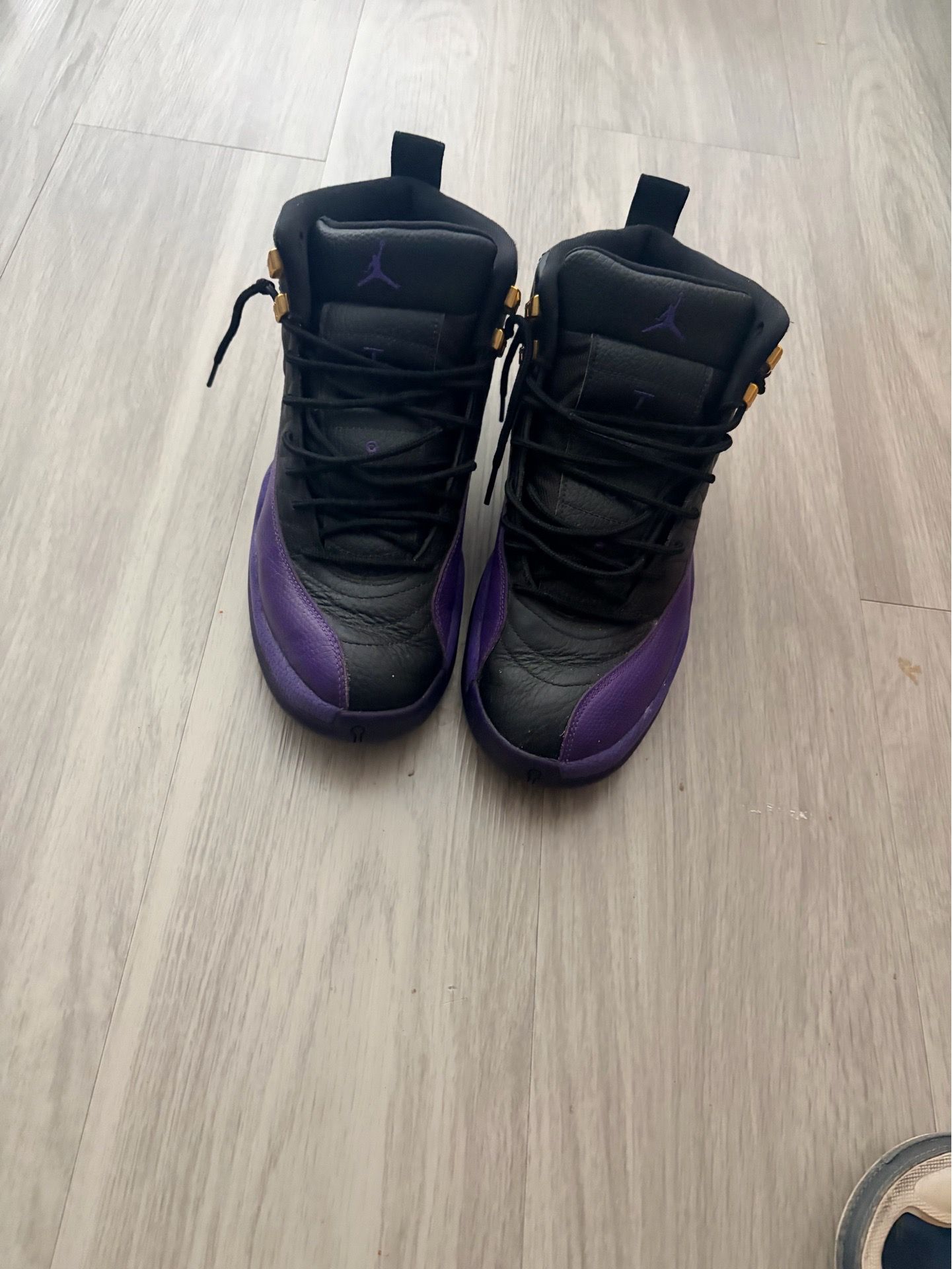 Jordan 12s