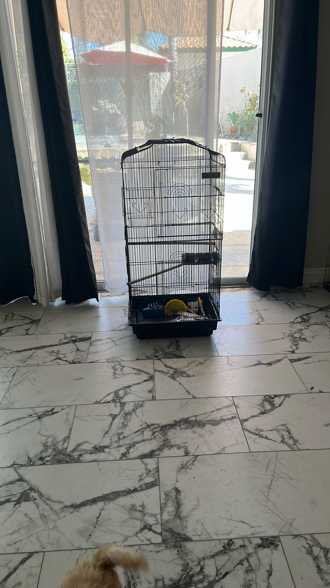 Bird Cage