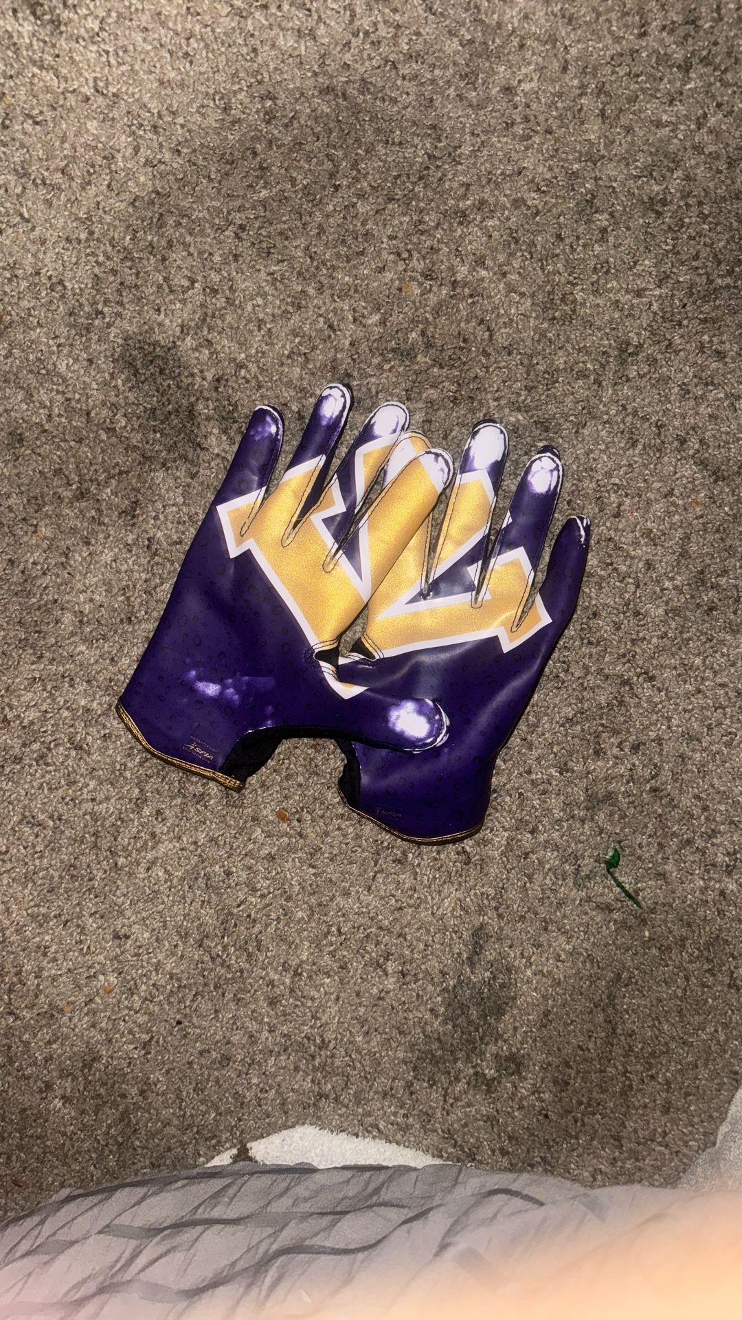 University of Washington gloves