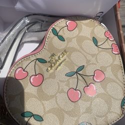 Purses And Jewelry 