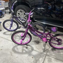 Two girls bicycles brand new $50 each