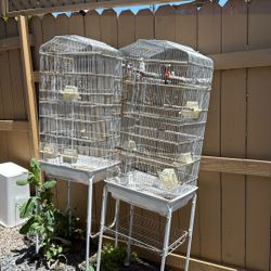2 Bird Cage