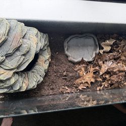 Complete Scorpion Tank