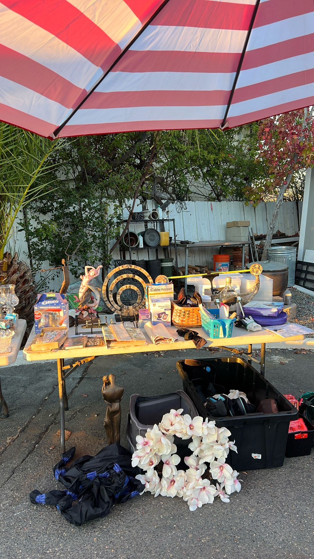 Everything On This Table For $20
