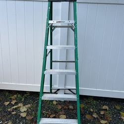 Werner 6ft Ladder