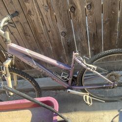 Schwinn Mountain Bike