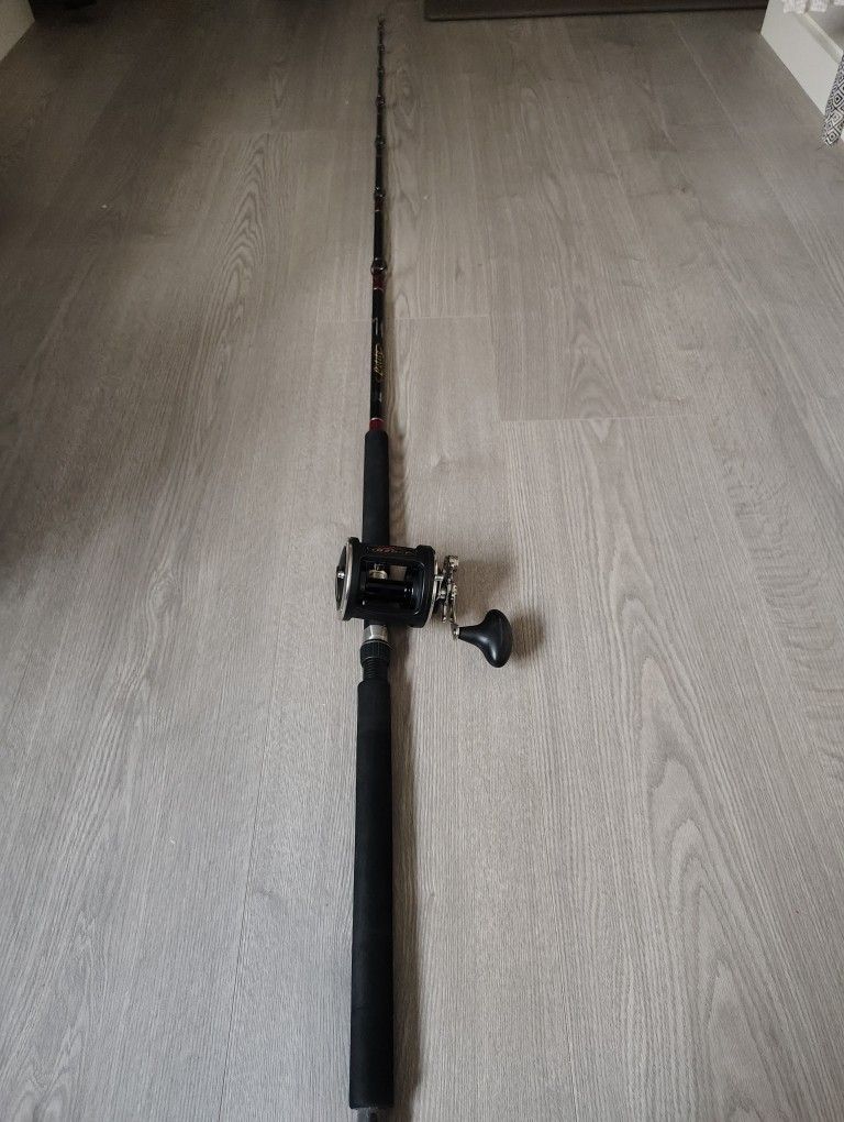 Okuma Salmon Rod