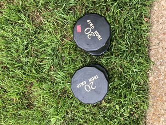 20 Lb Dumbbells 