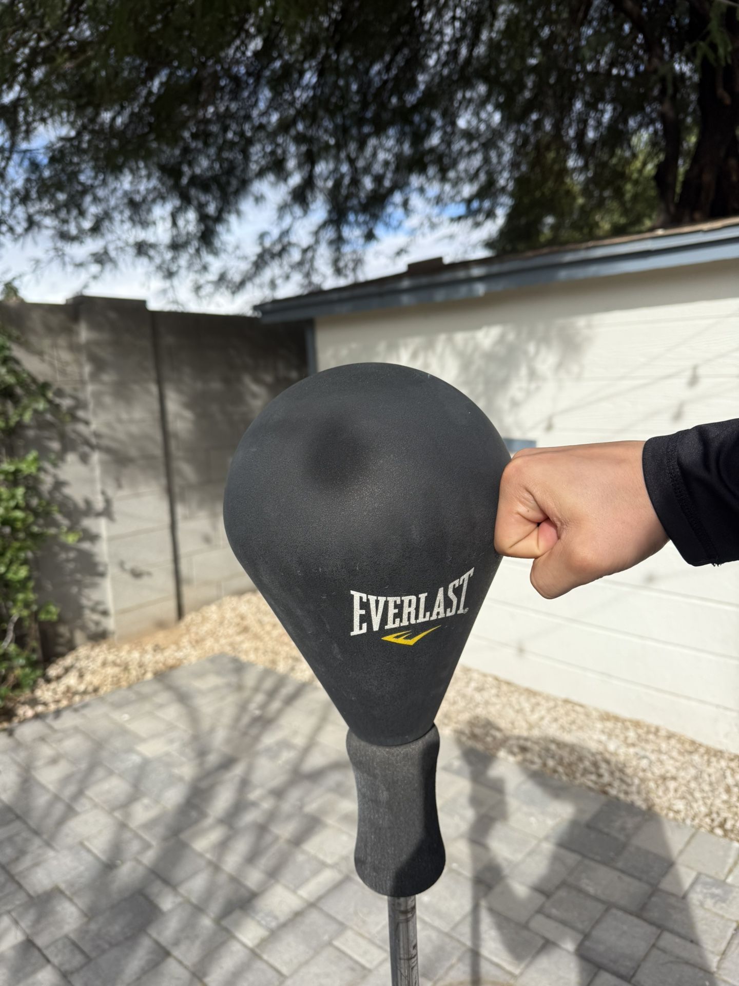Punching Bag (reflex Bag) 