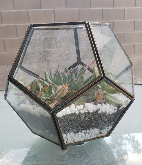 Pentagon Glass Planter With Succulents