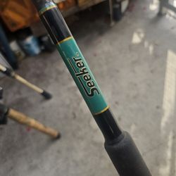 Seeker Fishing Rod