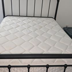 Sealy Queen Size Mattress Backsaver