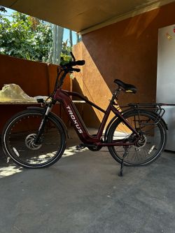 Troxus Trax 1.0 E-Bike