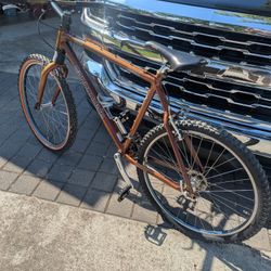Cannondale F2009