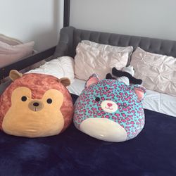 2 Squishmallows