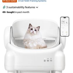 Cat Box