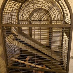 DomeTop  Extra Large IRON Bird Cage 