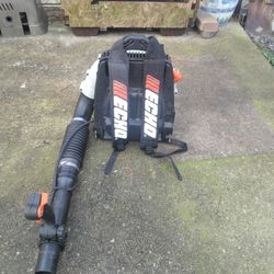 Echo Backpack Blower 