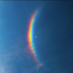 Signed First Edition CD - Coldplay Moon Music - Autographed by Band