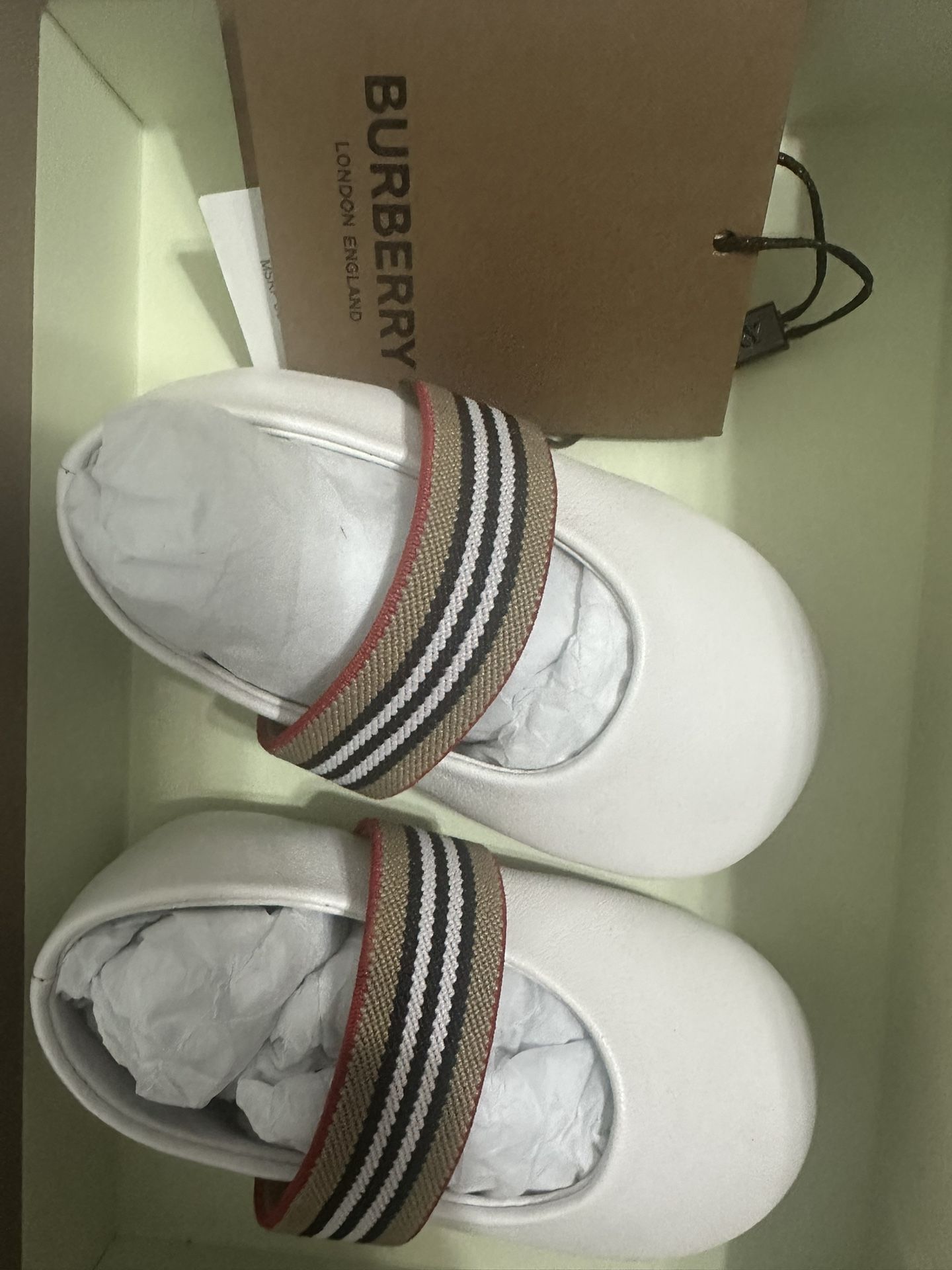 Burberry Ballerina Shoes