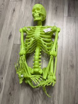 skeleton halloween decoration