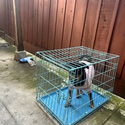 Medium Dog Cage House Crate