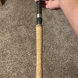 Shimano Talavera Inshore 