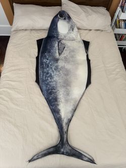 Fish Costume