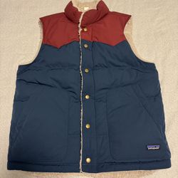 Patagonia Size Medium Men Reversible Bivy Down Vest Tidepool Blue 27588 New