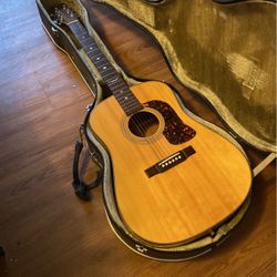Washburn d20s/n With case