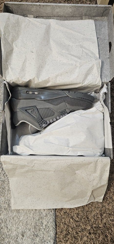 Jordan 4s