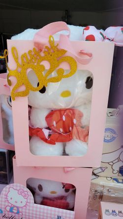 Sanrio Hello Kitty Fresa Graduation Plush 