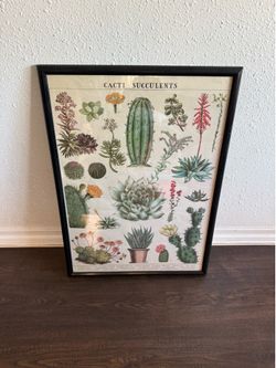 Cavallini & Co. cacti & succulents poster