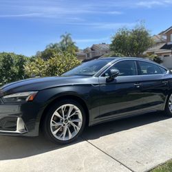 Car Detail 