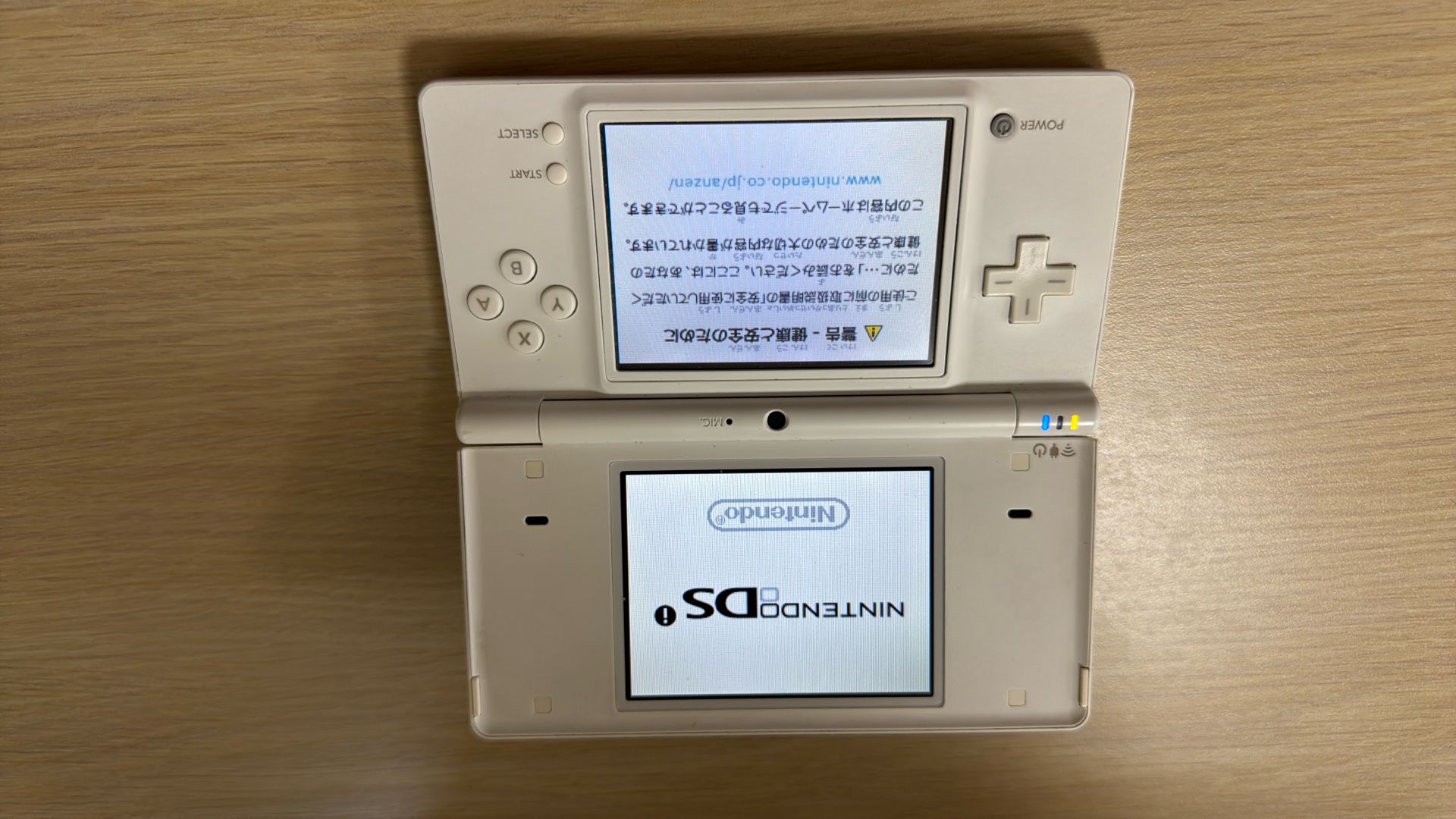 Nintendo DSi And Pokemon Soulsliver