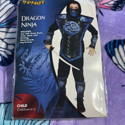 Halloween Costume/ Dragon Ninja