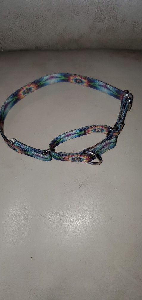 Martingale Dog Collar, Small