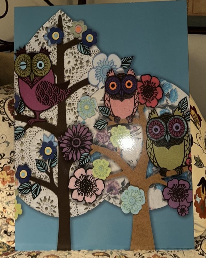 Colorful Owl Wall Art