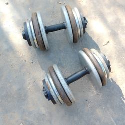 Dumbbells 2x65lbs