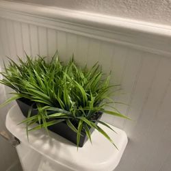 Artificial Grass Plant in Black Pot