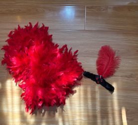 Women’s Flapper costume