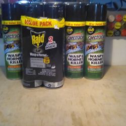 Wasp And Hornet Killer Insect Spray