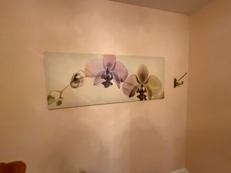 Orchid Floral Canvas Wall Art