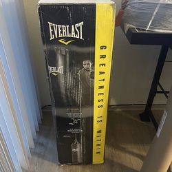Everlast Nevatear 70 lb Heavy Bag
